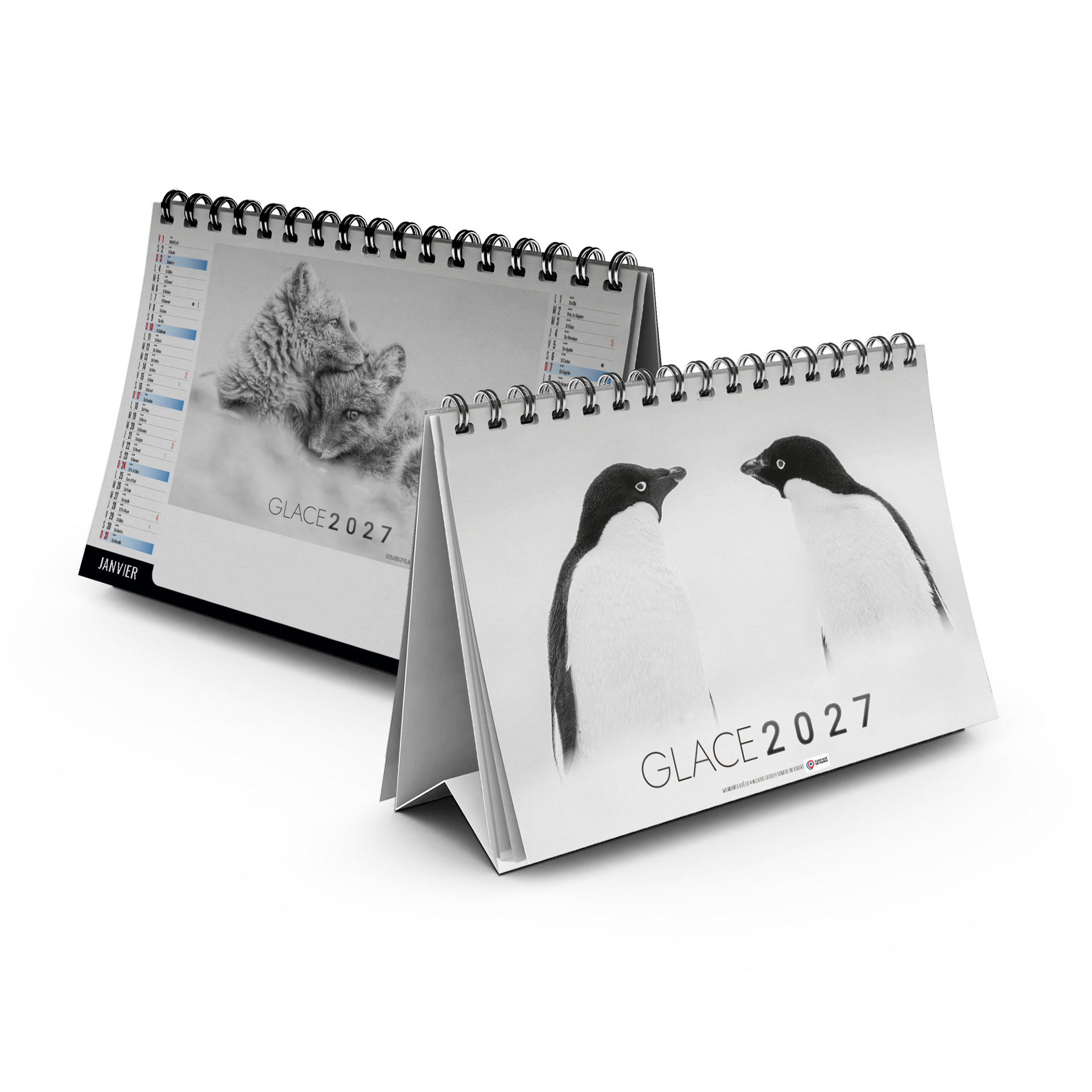 Glace 2027 – Calendrier avec logo - vue 1