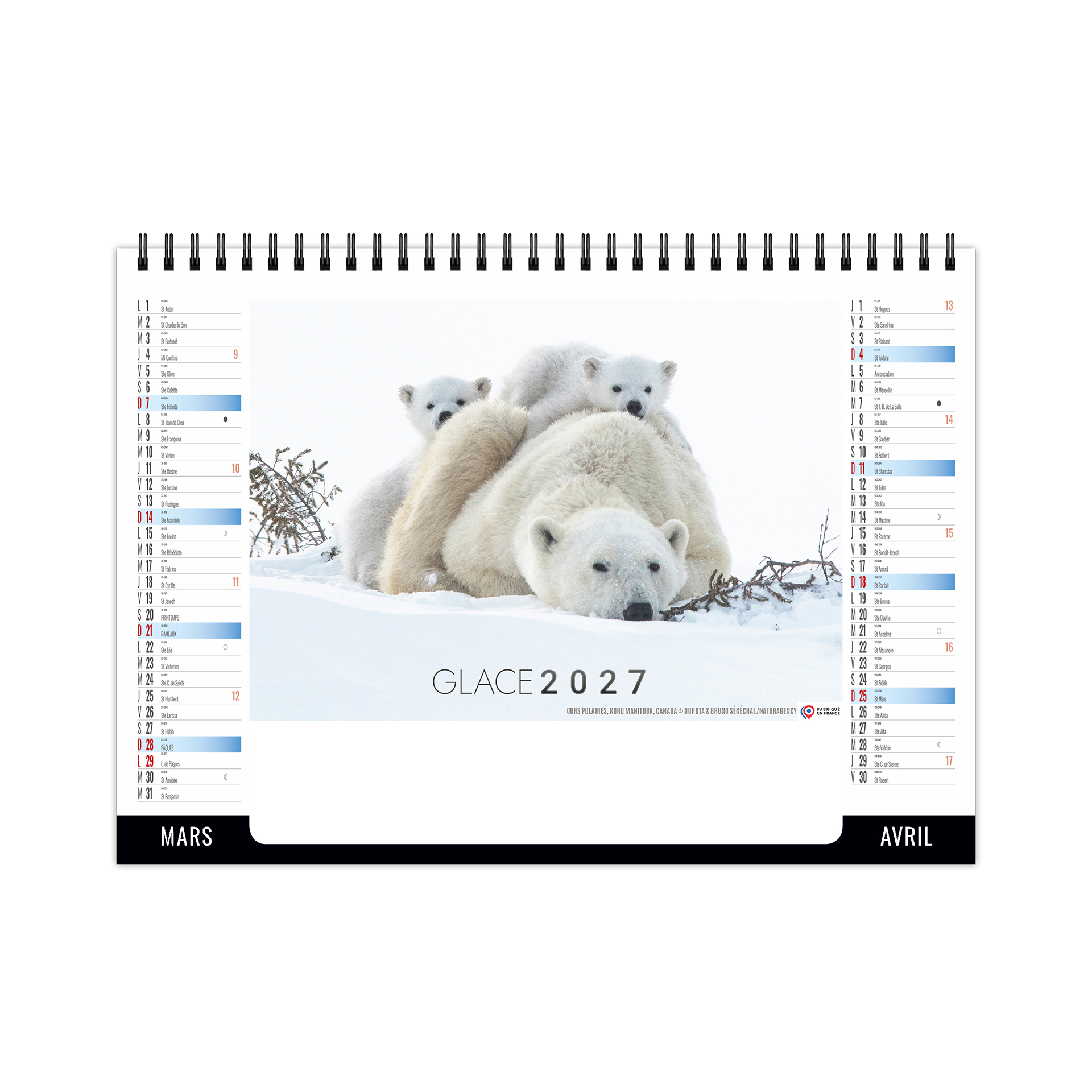 Glace 2027 – Calendrier avec logo - vue 3