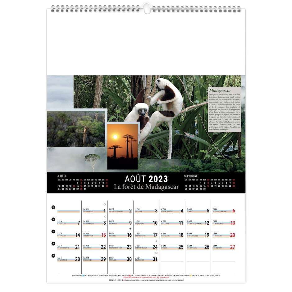 Calendrier mural Arbres et forêts de Hugo Image - Grand Format - Livre -  Decitre