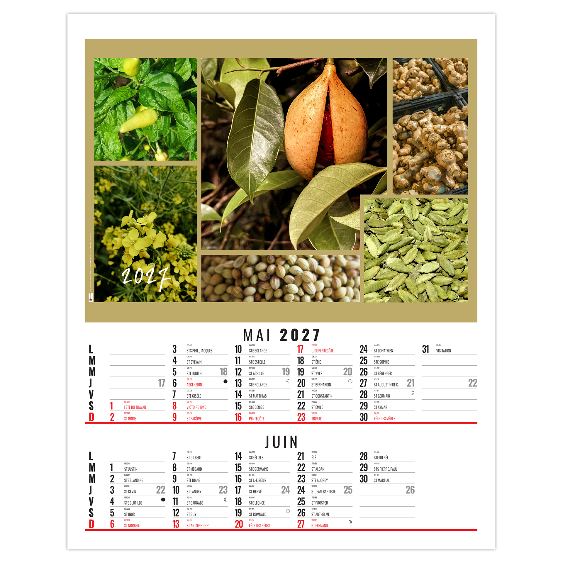 Maë 2027 – Calendrier avec logo - vue 4