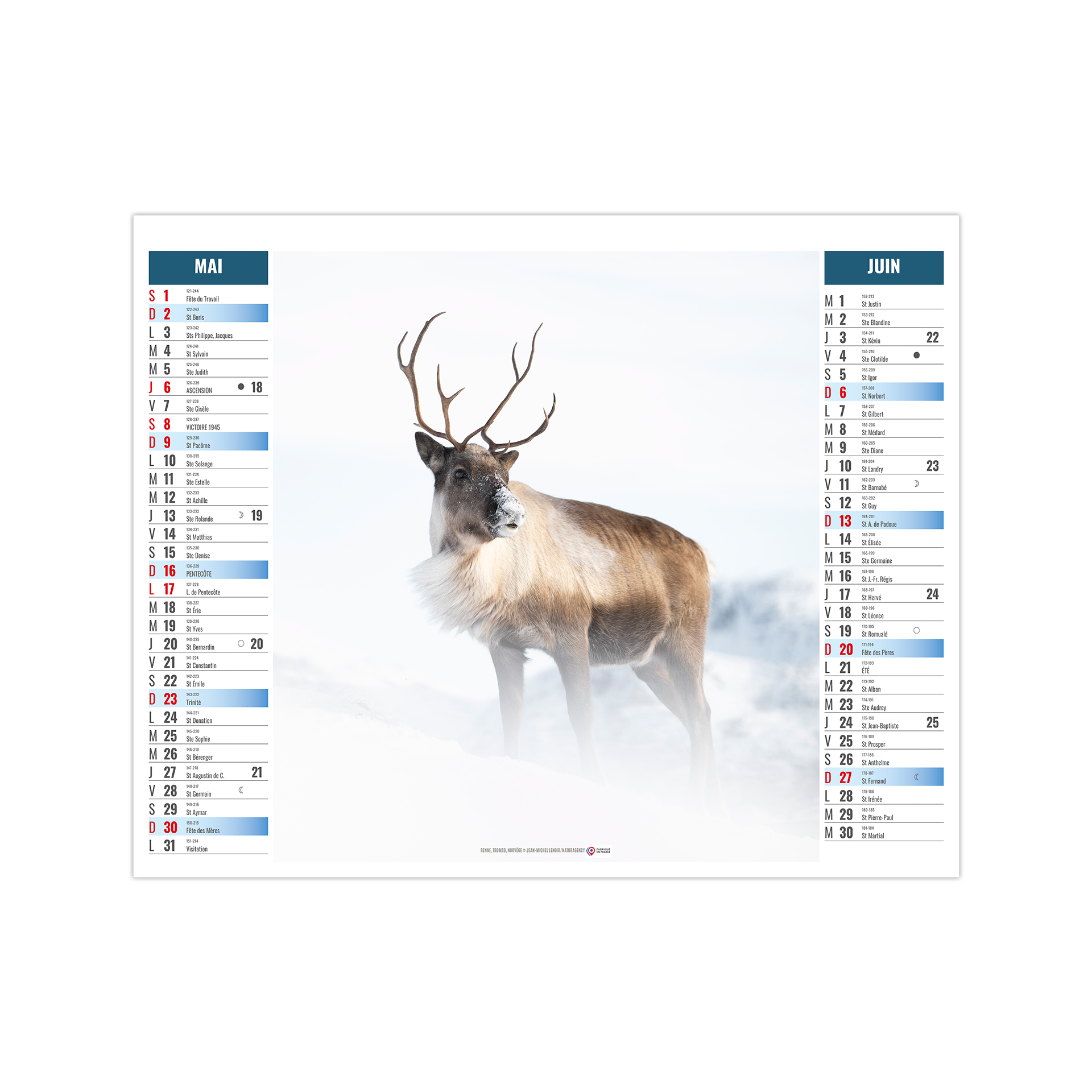 Pôle 2027 – Calendrier avec logo - vue 4