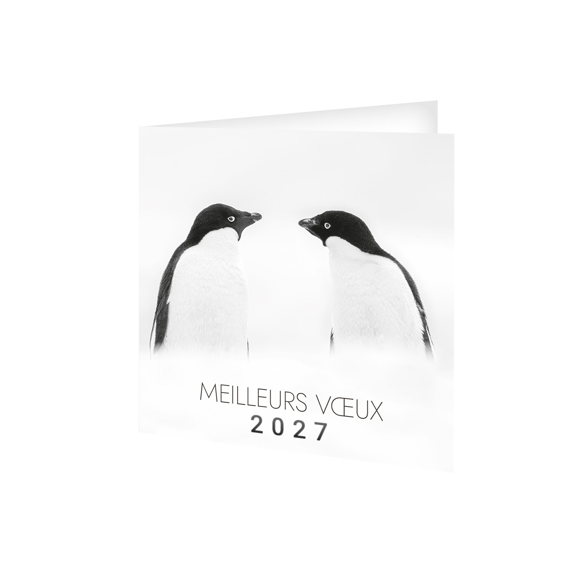 Froid 2027 – Calendrier avec logo - vue 1