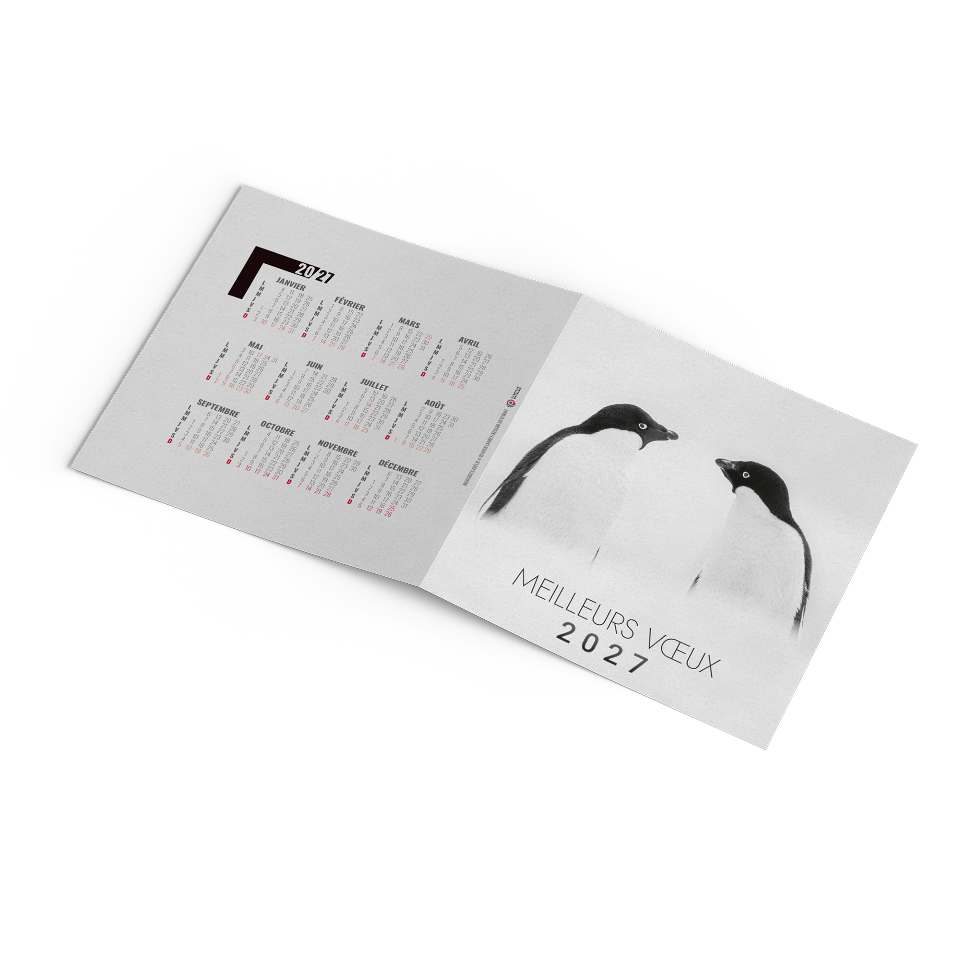 Froid 2027 – Calendrier avec logo - vue 3